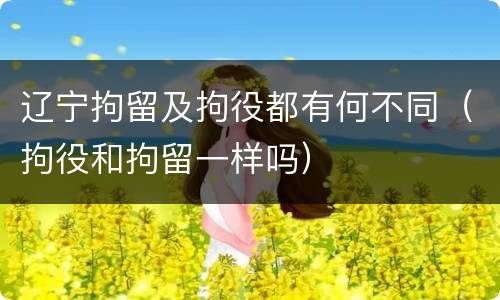 辽宁拘留及拘役都有何不同（拘役和拘留一样吗）