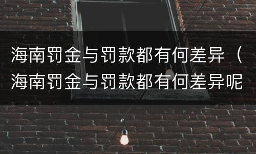 海南罚金与罚款都有何差异（海南罚金与罚款都有何差异呢）