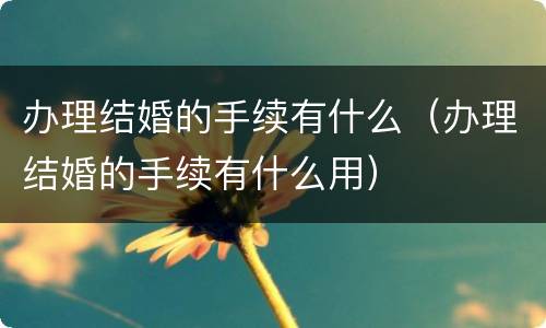 办理结婚的手续有什么（办理结婚的手续有什么用）