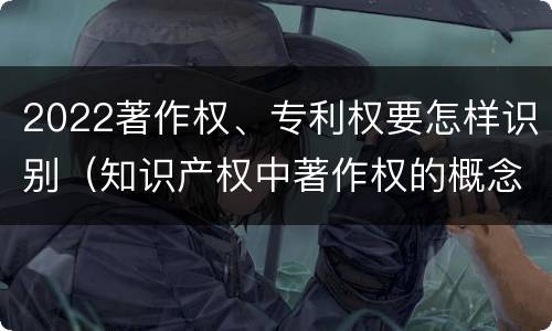 2022著作权、专利权要怎样识别（知识产权中著作权的概念）