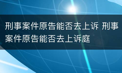 刑事案件原告能否去上诉 刑事案件原告能否去上诉庭