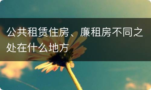 公共租赁住房、廉租房不同之处在什么地方