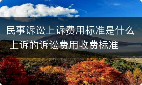 民事诉讼上诉费用标准是什么 上诉的诉讼费用收费标准