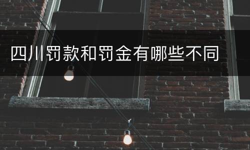 四川罚款和罚金有哪些不同