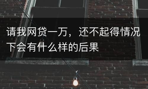 请我网贷一万，还不起得情况下会有什么样的后果