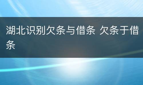 湖北识别欠条与借条 欠条于借条