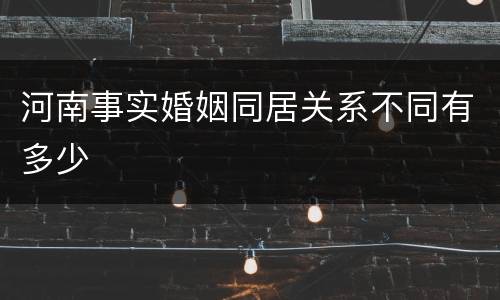 河南事实婚姻同居关系不同有多少