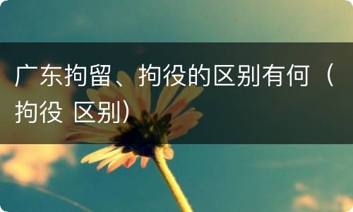 广东拘留、拘役的区别有何（拘役 区别）