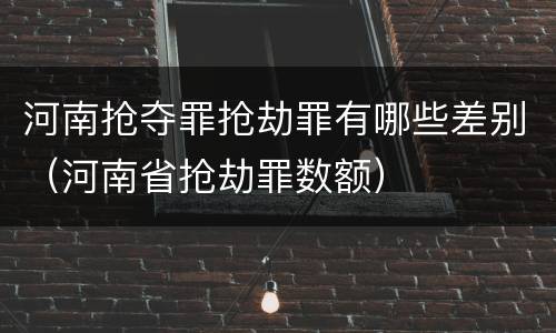 河南抢夺罪抢劫罪有哪些差别（河南省抢劫罪数额）