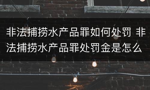 非法捕捞水产品罪如何处罚 非法捕捞水产品罪处罚金是怎么回事