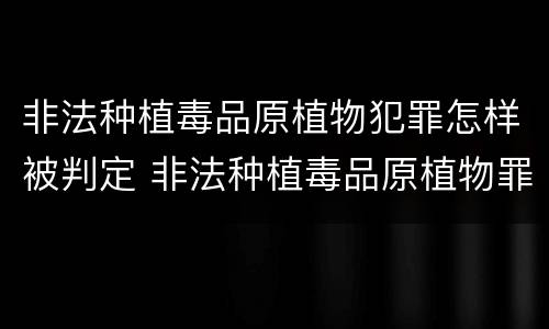 非法种植毒品原植物犯罪怎样被判定 非法种植毒品原植物罪情节严重的三种情况