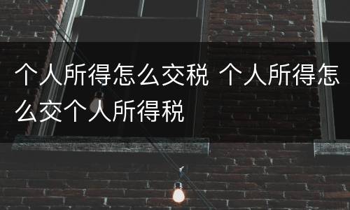 个人所得怎么交税 个人所得怎么交个人所得税