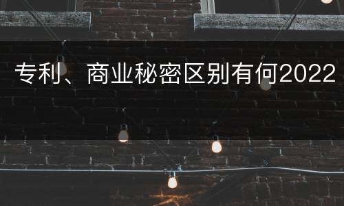 专利、商业秘密区别有何2022