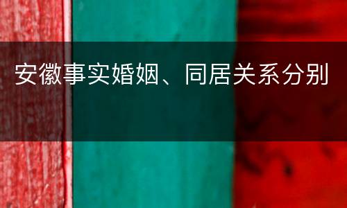 安徽事实婚姻、同居关系分别