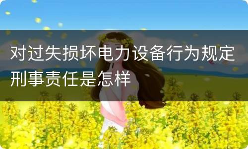 对过失损坏电力设备行为规定刑事责任是怎样