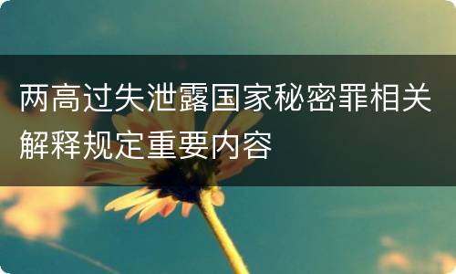 两高过失泄露国家秘密罪相关解释规定重要内容