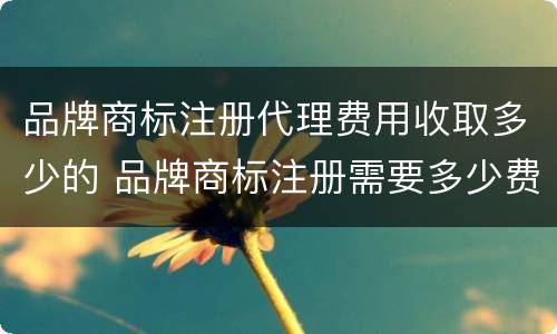 品牌商标注册代理费用收取多少的 品牌商标注册需要多少费用