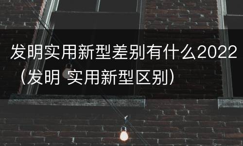 发明实用新型差别有什么2022（发明 实用新型区别）