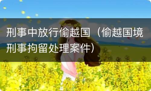 刑事中放行偷越国（偷越国境刑事拘留处理案件）