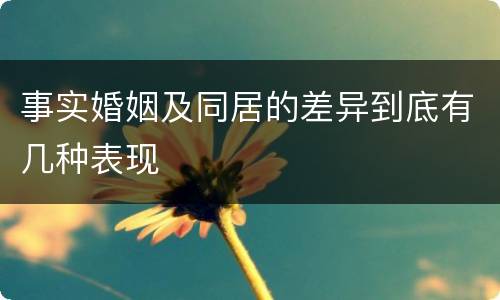 事实婚姻及同居的差异到底有几种表现