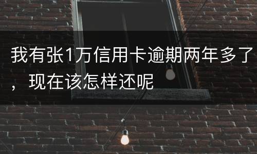 我有张1万信用卡逾期两年多了，现在该怎样还呢