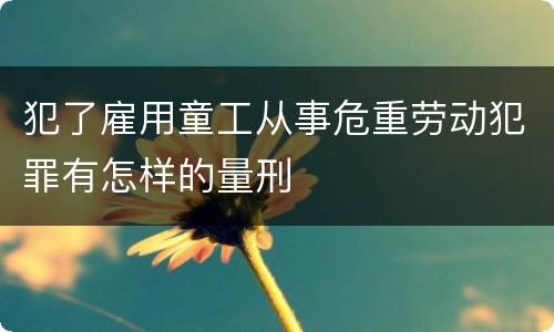 犯了雇用童工从事危重劳动犯罪有怎样的量刑