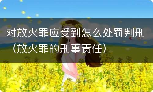 对放火罪应受到怎么处罚判刑（放火罪的刑事责任）