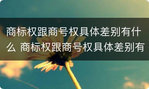 商标权跟商号权具体差别有什么 商标权跟商号权具体差别有什么不同