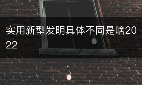 实用新型发明具体不同是啥2022