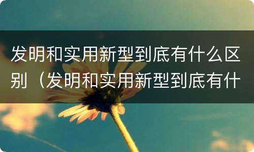 发明和实用新型到底有什么区别（发明和实用新型到底有什么区别和联系）