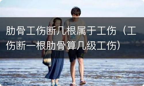 肋骨工伤断几根属于工伤（工伤断一根肋骨算几级工伤）