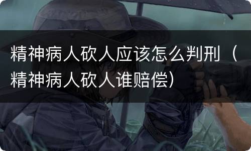 精神病人砍人应该怎么判刑（精神病人砍人谁赔偿）