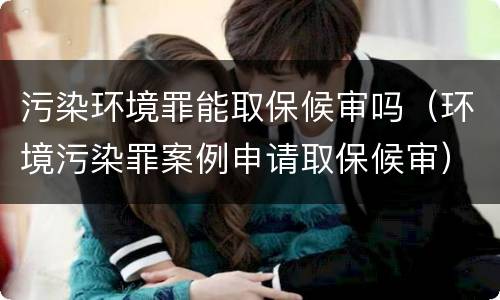 污染环境罪能取保候审吗（环境污染罪案例申请取保候审）