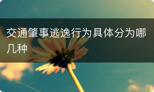 交通肇事逃逸行为具体分为哪几种