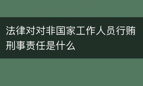 法律对对非国家工作人员行贿刑事责任是什么