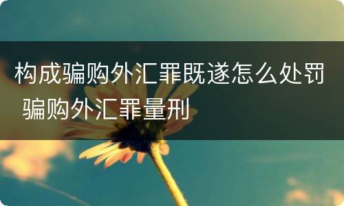 构成骗购外汇罪既遂怎么处罚 骗购外汇罪量刑