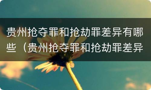 贵州抢夺罪和抢劫罪差异有哪些（贵州抢夺罪和抢劫罪差异有哪些案例）