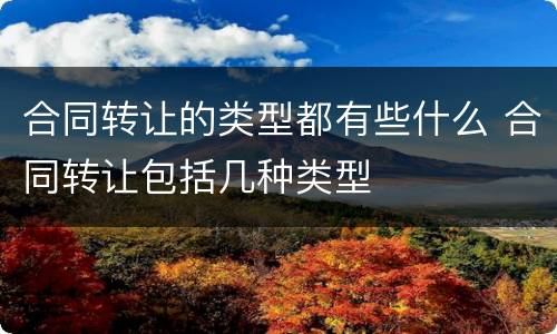 合同转让的类型都有些什么 合同转让包括几种类型