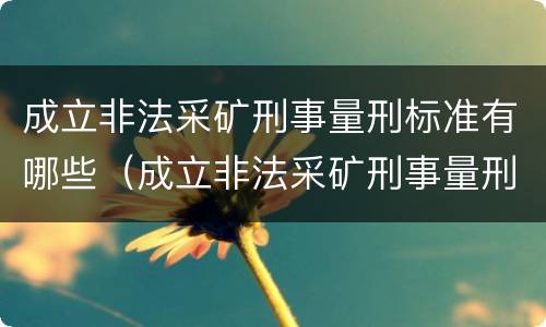 成立非法采矿刑事量刑标准有哪些（成立非法采矿刑事量刑标准有哪些规定）