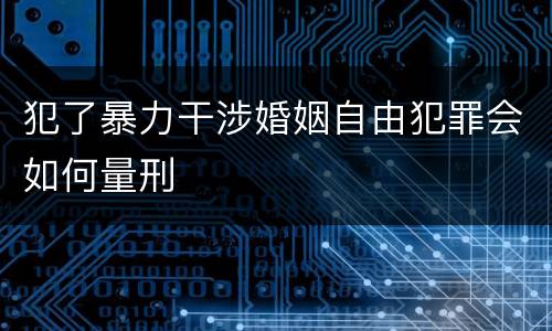 犯了暴力干涉婚姻自由犯罪会如何量刑