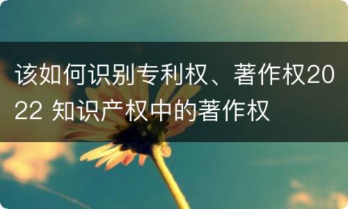 该如何识别专利权、著作权2022 知识产权中的著作权