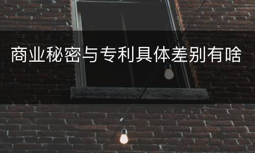 商业秘密与专利具体差别有啥