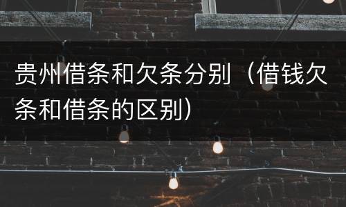 贵州借条和欠条分别（借钱欠条和借条的区别）