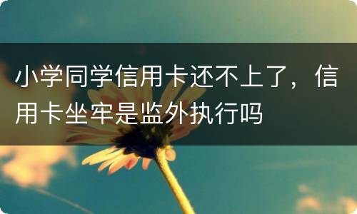 小学同学信用卡还不上了，信用卡坐牢是监外执行吗