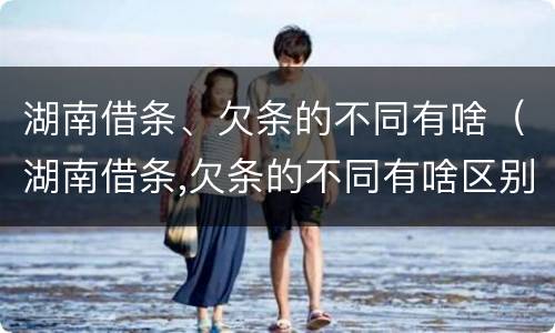 湖南借条、欠条的不同有啥（湖南借条,欠条的不同有啥区别）