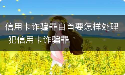 信用卡诈骗罪自首要怎样处理 犯信用卡诈骗罪