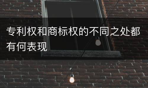 专利权和商标权的不同之处都有何表现