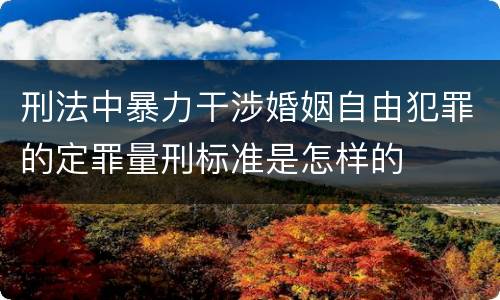 刑法中暴力干涉婚姻自由犯罪的定罪量刑标准是怎样的