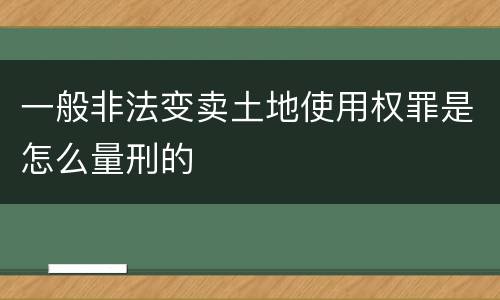 一般非法变卖土地使用权罪是怎么量刑的