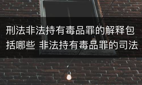 刑法非法持有毒品罪的解释包括哪些 非法持有毒品罪的司法解释
